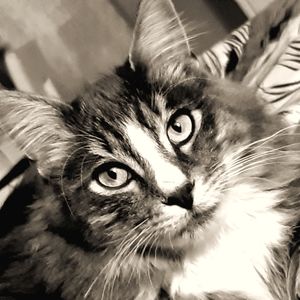 Meet your Posher, Lana